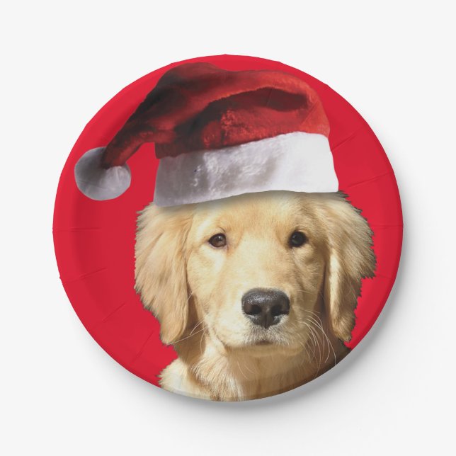 Assiettes En Carton Golden Retriever portant un Casquette du Père Noël (Devant)