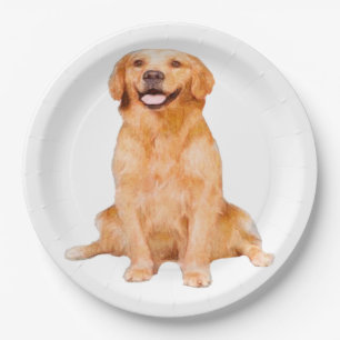 Assiettes En Carton Golden Retriever Sitting