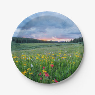Assiettes En Carton Good Morning Meadow,