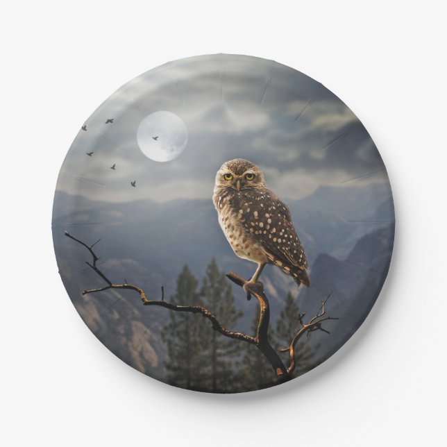 Assiettes En Carton Graphique de la lune d'hibou éffrayant (Devant)