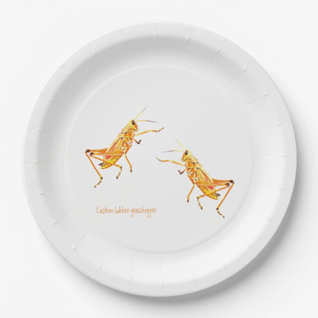 Assiettes En Carton Grasshopper de laine orientale    (Devant)