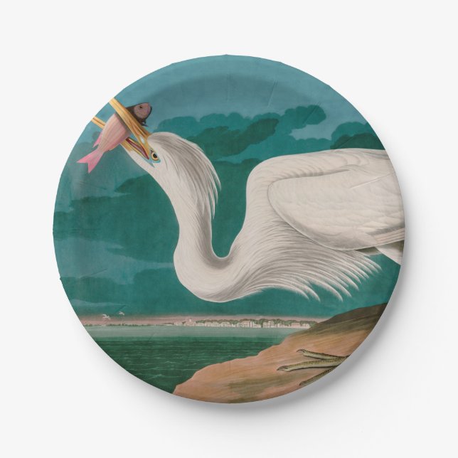 Assiettes En Carton Great White Heron Birds of America Audubon Imprime (Devant)