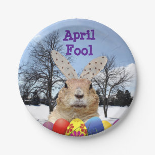 Assiettes En Carton Groundhog April Fool Day
