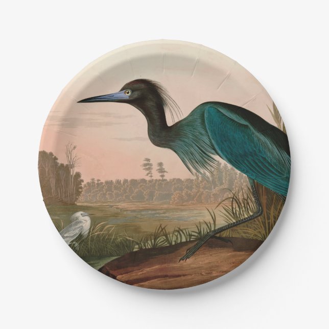 Assiettes En Carton Grue bleue ou Heron Birds of America Audubon Impri (Devant)