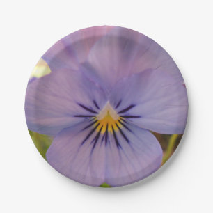 Assiettes En Carton Haetzlern