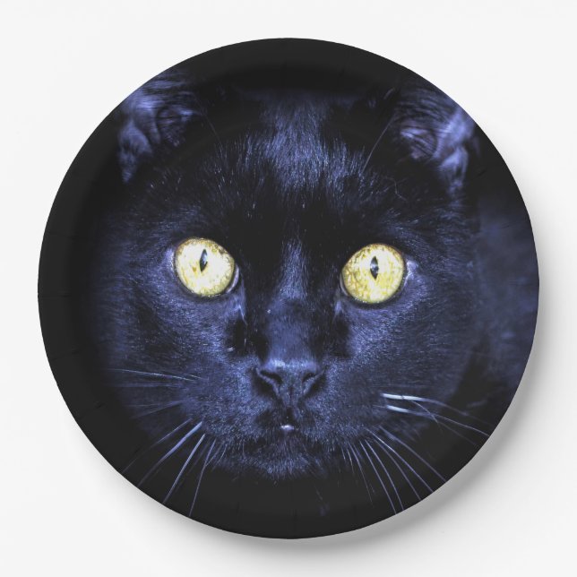 Assiettes En Carton Halloween fête peur Chat noir Horreur Nuit (Devant)