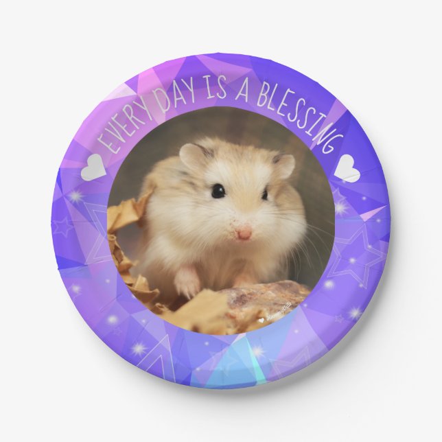 Assiettes En Carton Hammyville - Jolie Robo Hamster Bénédiction (Devant)