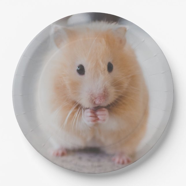 Assiettes En Carton hamster (Devant)