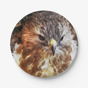 ASSIETTES EN CARTON HAWK
