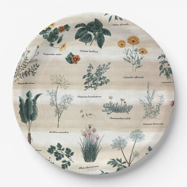 Assiettes En Carton Herbes Fleurs Plantes (Devant)