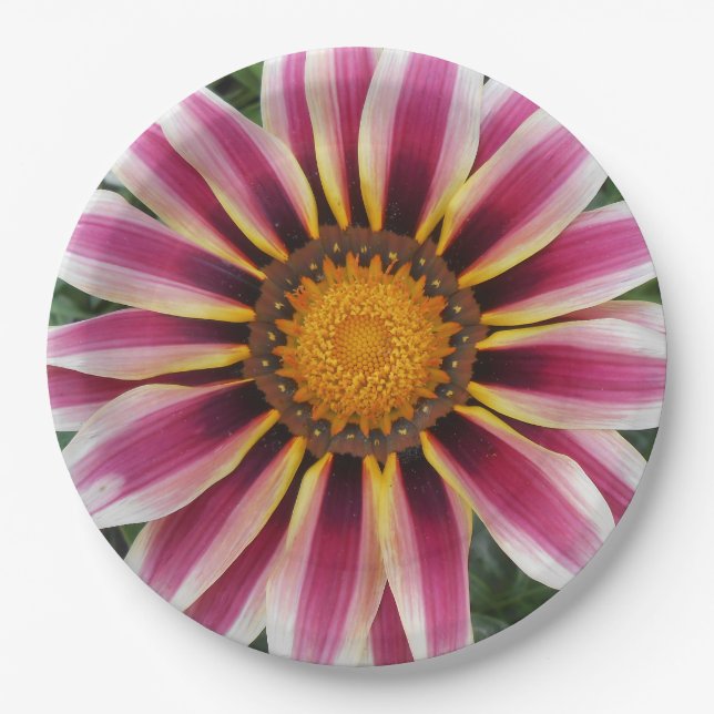 Assiettes En Carton Hereford (Devant)