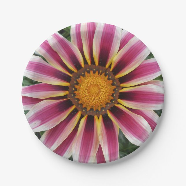 Assiettes En Carton Hereford (Devant)