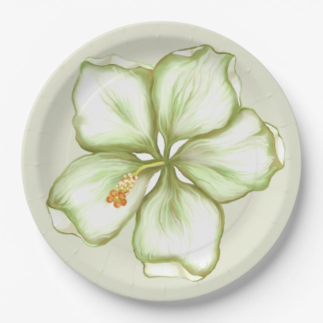 Assiettes En Carton Hibiscus & dentelle BLANC (Devant)