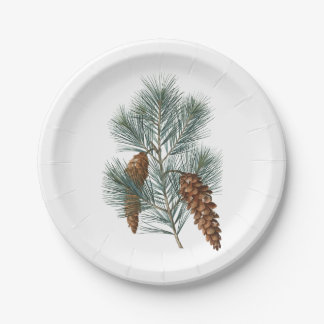 Assiettes En Carton Hiver Russe Bois Pine Cône et Branche