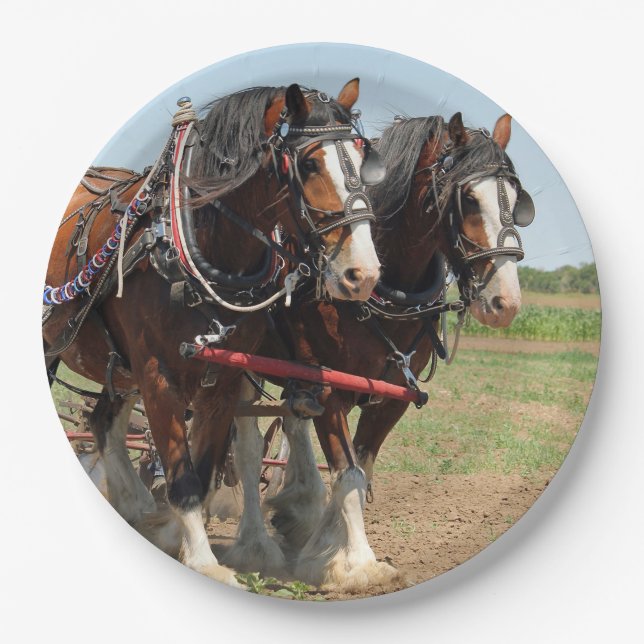 Assiettes En Carton Horse Clydesdale Agriculture Photo (Devant)