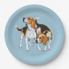 Hound beagle