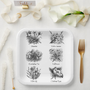 Assiettes En Carton Illustrations botaniques