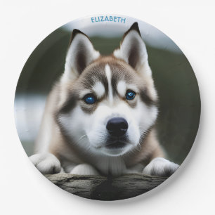 Assiettes En Carton Imaginaire Cute Sibérien Husky, Imaginaire Vintage