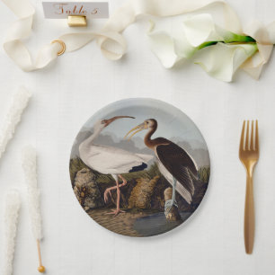 Assiettes En Carton Impression d'oiseau Ibis blanc de John James Audub
