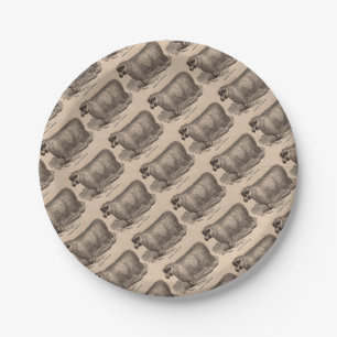 Assiettes En Carton Imprimé au 19e siècle année Cotswold brebis