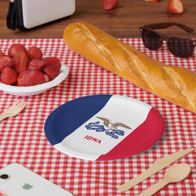 Assiettes En Carton Iowan Flag, Flag of Iowa (Pique-nique)