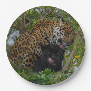 Assiettes En Carton Jaguars In Love