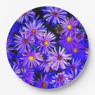 Assiettes En Carton Jardin d'Aster en pleine floraison