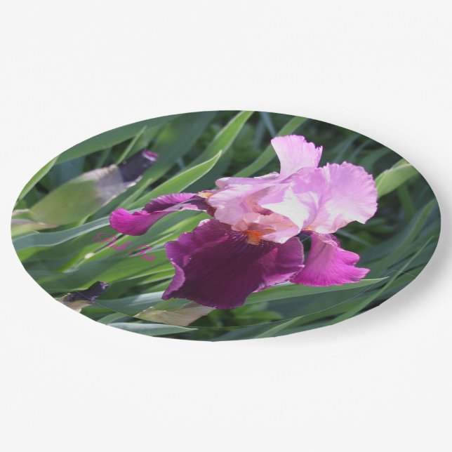 Assiettes En Carton Jardin rose magenta Iris baisé au soleil (Angle)