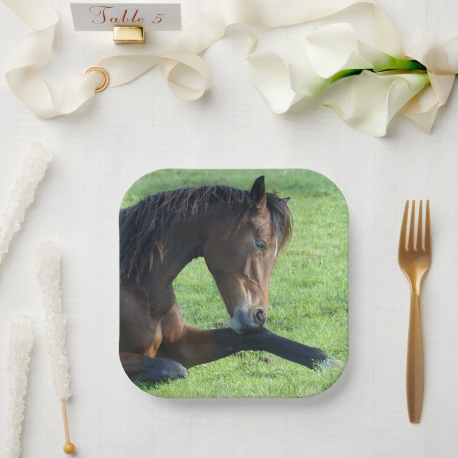 Assiettes En Carton Joli Cheval Brown allongé dans l'herbe (Mariage)