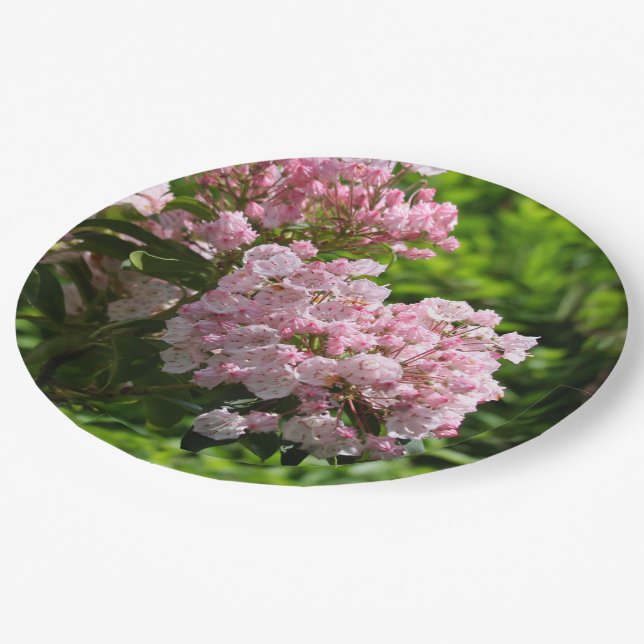 Assiettes En Carton Jolies fleurs de laurier rose (Angle)
