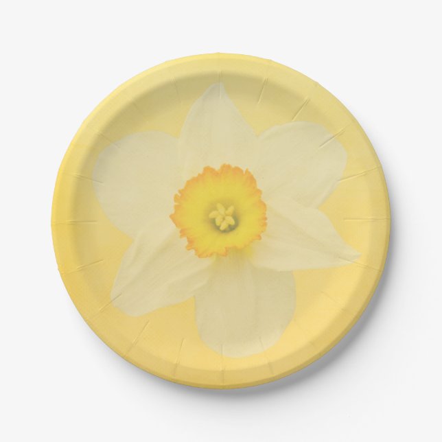 Assiettes En Carton Jonquille jaune (Devant)