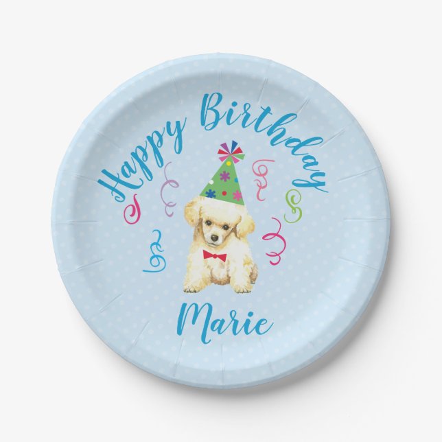 Assiettes En Carton Jouet de la fête d'anniversaire (Devant)