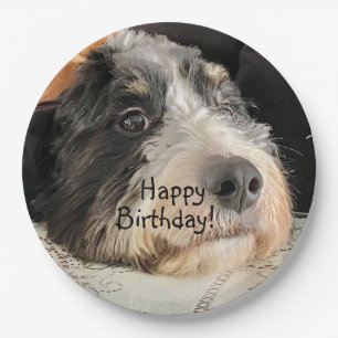 Assiettes En Carton Joyeux anniversaire Cute Bernedoodle