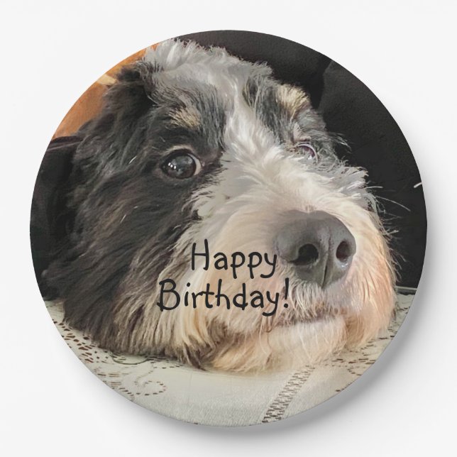 Assiettes En Carton Joyeux anniversaire Cute Bernedoodle (Devant)