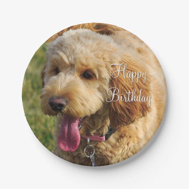 Assiettes En Carton Joyeux Anniversaire Goldendoodle Chien (Devant)
