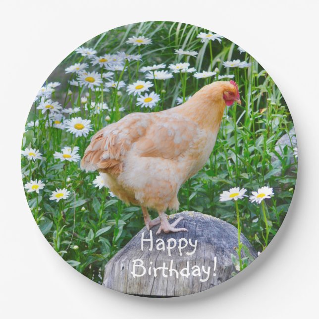 Assiettes En Carton Joyeux bouffon d'anniversaire Orpington poulet (Devant)