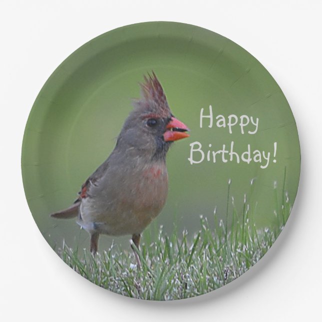 Assiettes En Carton Joyeux Cardinal d'anniversaire (Devant)