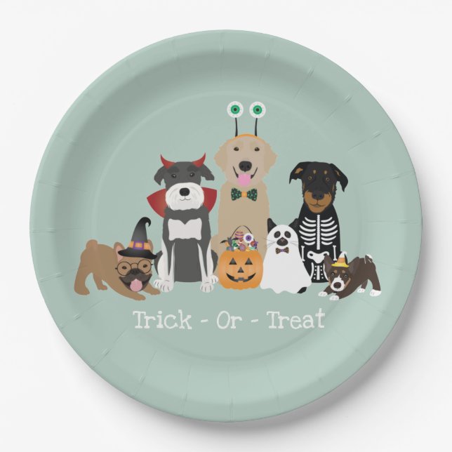 Assiettes En Carton Joyeux Costumes Éffrayants Pour Animaux De Compagn (Devant)