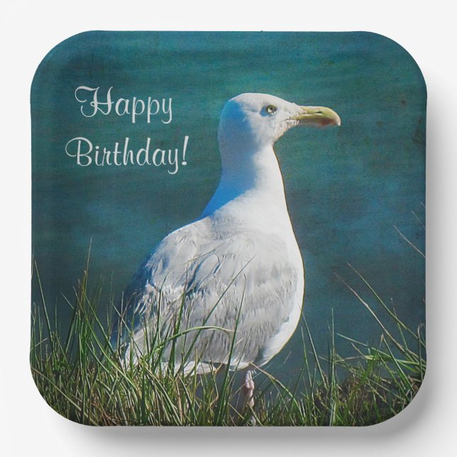 Assiettes En Carton Joyeux mouette d'anniversaire (Recto)