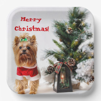 Assiettes En Carton Joyeux Noël Père Noël Yorkie avec arbre de Noël