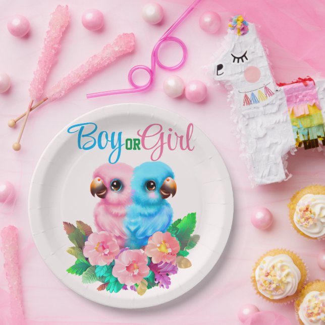 Assiettes En Carton Jumeaux de perroquets pour bébés (Fête)