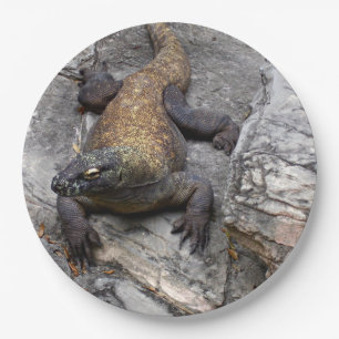 Assiettes En Carton Komodo