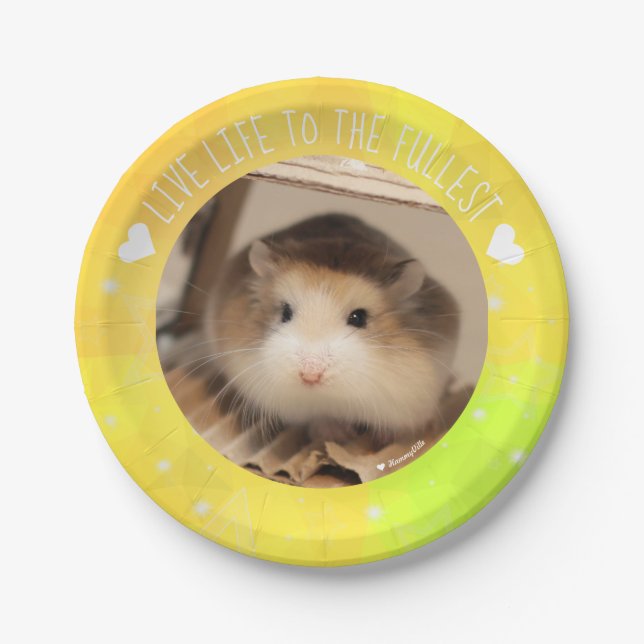 Assiettes En Carton La vie vivante pleinement - hamsters de Hammyville (Devant)