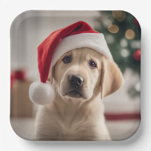 Assiettes En Carton Labrador Retriever Christmas