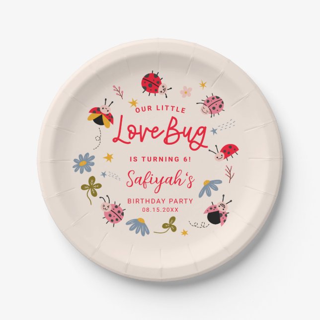 Assiettes En Carton Ladybug Lovebug fête d'été d'anniversaire (Devant)