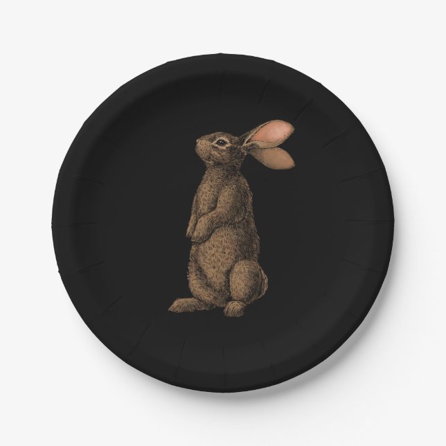 Assiettes En Carton Lapin (Devant)