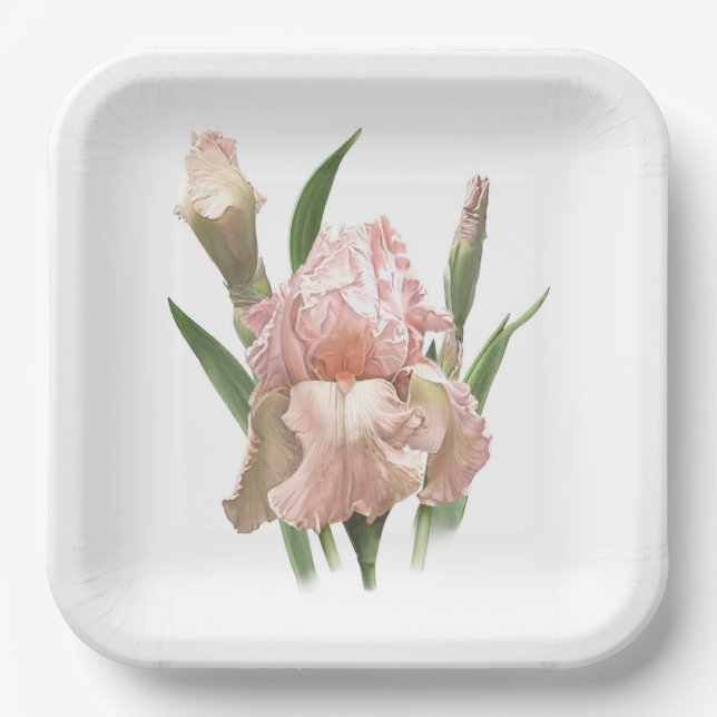 Assiettes En Carton L'Art Botanique Rose Ruffled Iris (Recto)
