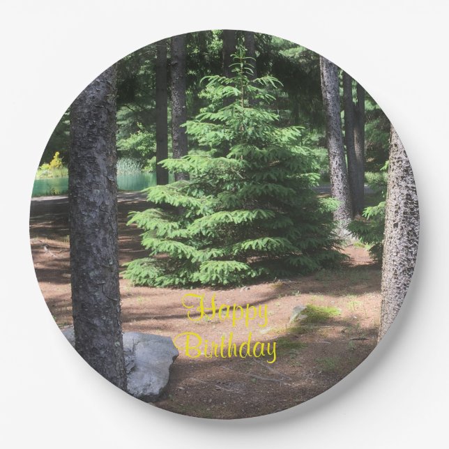 Assiettes En Carton Le Calme Dans La Forêt (Devant)