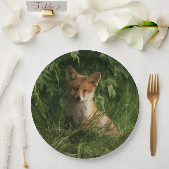Assiettes En Carton Le chou renard dans une forêt verte (Mariage)