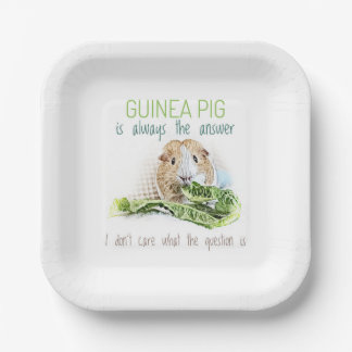 Assiettes En Carton Le Cochon de Guinée est toujours la réponse Plaque